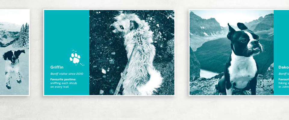 image of Doghouse store decore