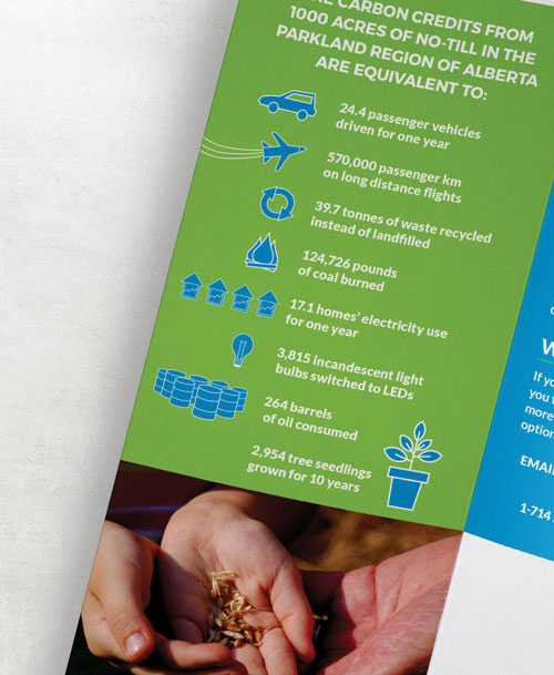 image of Carbon Credit Solutions brochure detail
