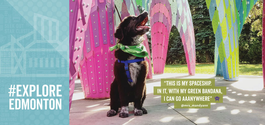 image of Explore Edmonton Airport Signage