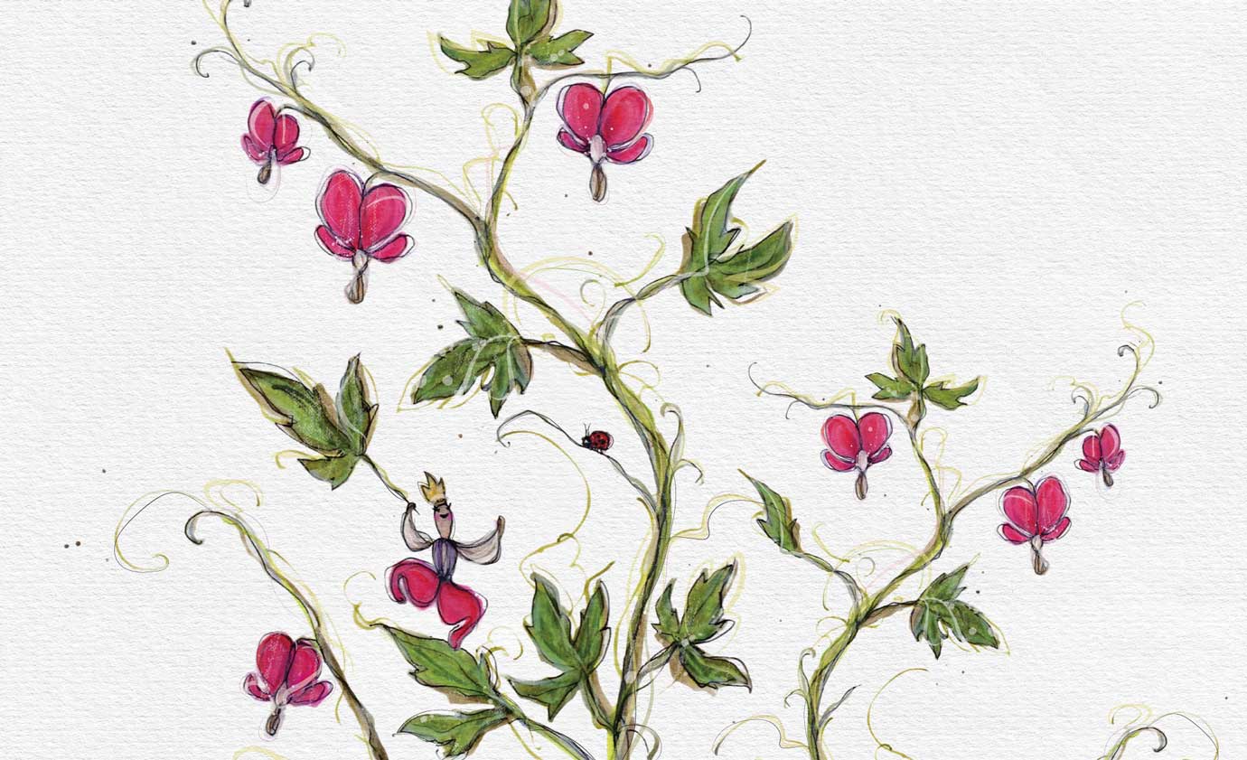 image of bleeding heart flower illustration