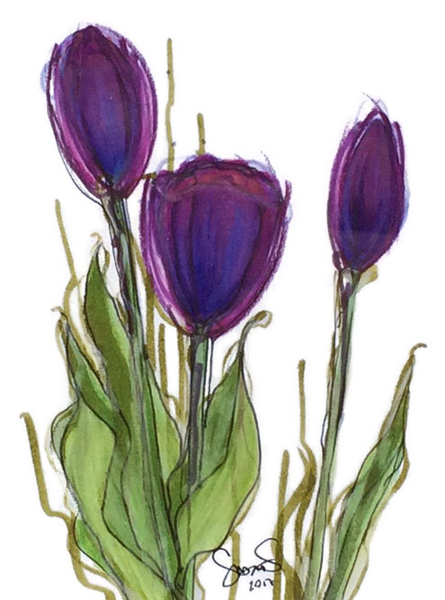image of tulip illustration